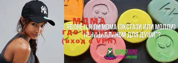 стаф Аркадак