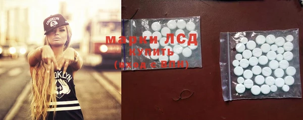 ПСИЛОЦИБИНОВЫЕ ГРИБЫ Арсеньев
