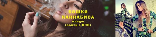 ПСИЛОЦИБИНОВЫЕ ГРИБЫ Арсеньев