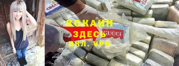 стаф Аркадак
