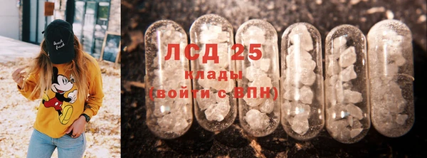 стаф Аркадак