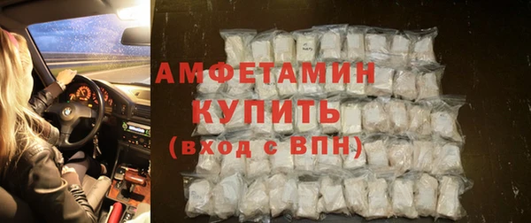 стаф Аркадак